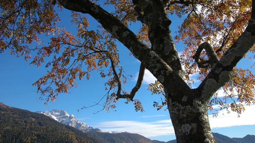 Una suggestiva veduta colta da Campolo delle Dolomiti del Brenta