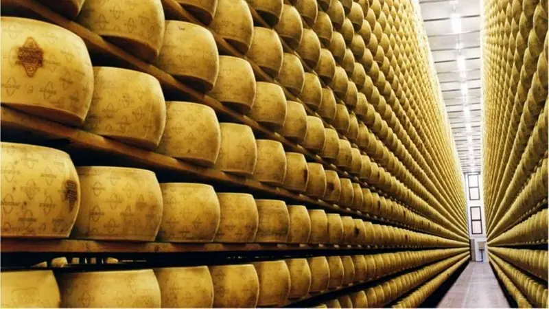 Forme di Grana Padano - © www.giornaledibrescia.it