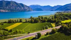 I vigneti del Franciacorta sul lago d'Iseo