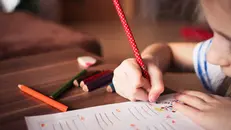 Non una scuola «per», ma una scuola «con» - © www.giornaledibrescia.it