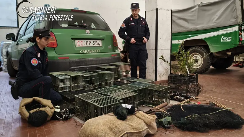 Il materiale sequestrato - Foto Carabinieri Forestali