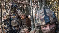 Alpini concludono esercitazione della Nato in Ungheria - Ansa © www.giornaledibrescia.it