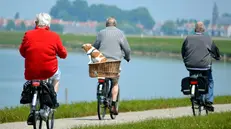 Buone pratiche essenziali per invecchiare bene