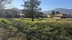 L'area verde e il parco giochi vicino - © www.giornaledibrescia.it