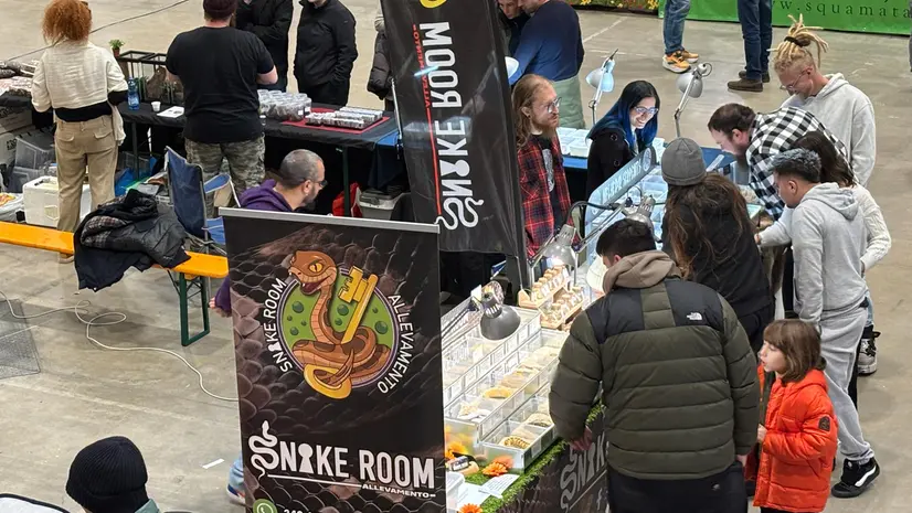 La mostra mercato al Brixia Forum - © www.giornaledibrescia.it