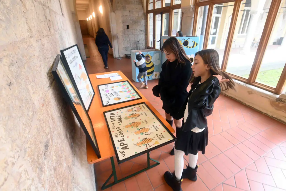 Le premiazioni del concorso «Le Api»