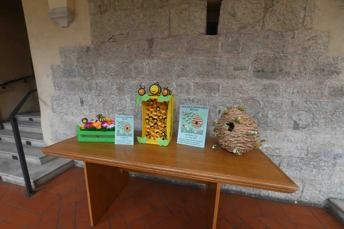 Le premiazioni del concorso «Le Api»