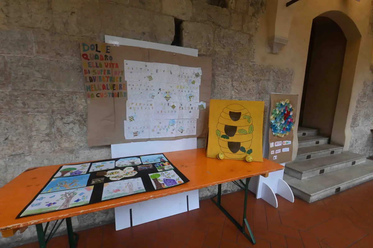 Le premiazioni del concorso «Le Api»