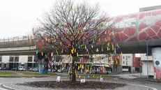 L’albero alla fermata Sanpolino è stato addobbato con 350 rocchetti colorati