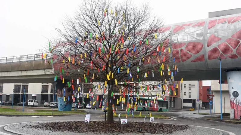 L’albero alla fermata Sanpolino è stato addobbato con 350 rocchetti colorati
