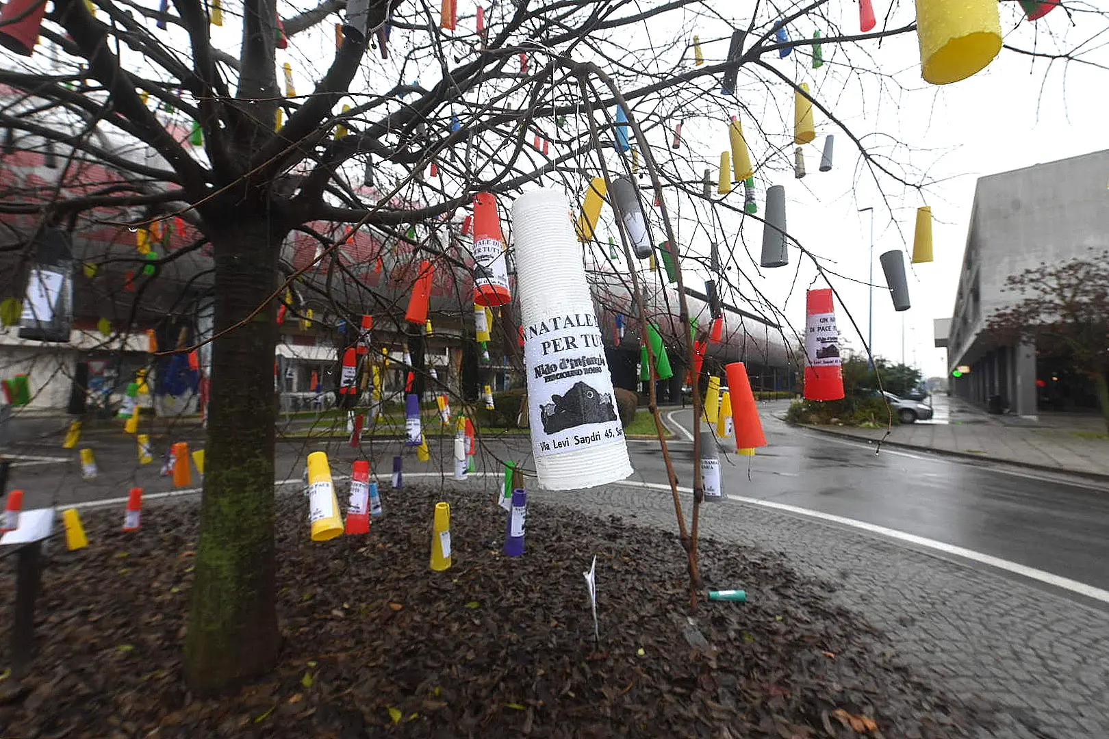 L’albero alla fermata Sanpolino è stato addobbato con 350 rocchetti colorati