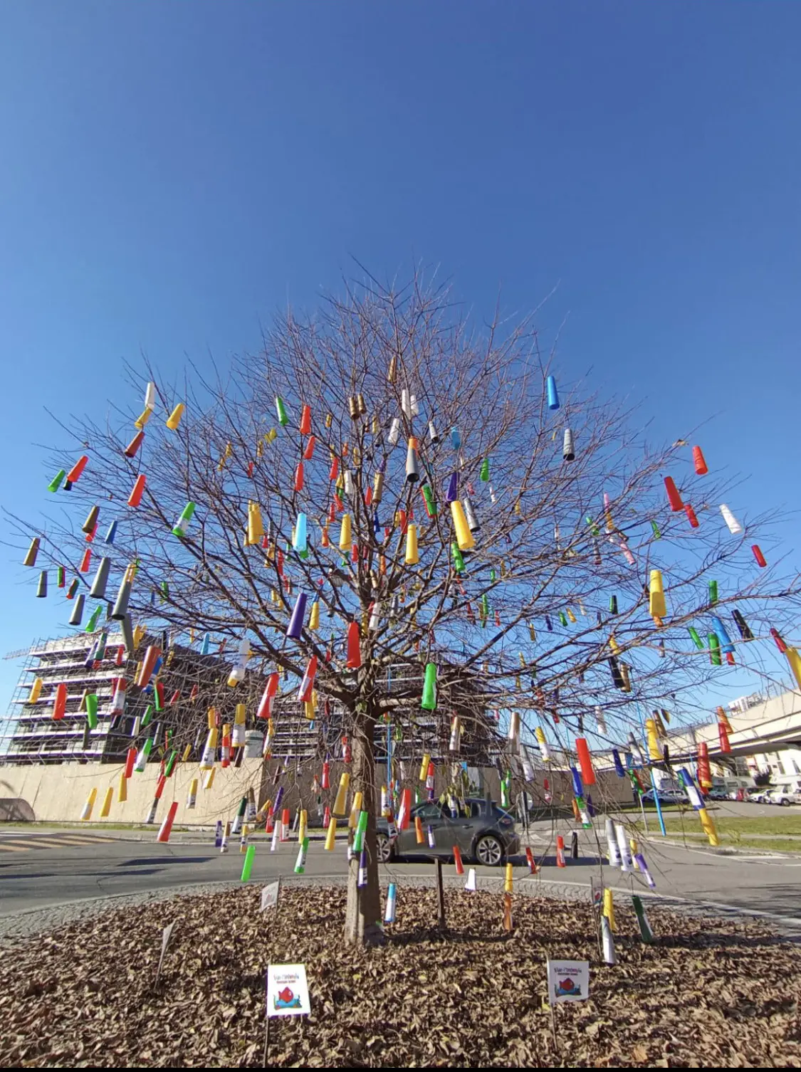 L’albero alla fermata Sanpolino è stato addobbato con 350 rocchetti colorati