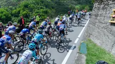 Un precedente passaggio sui monti bresciani - © www.giornaledibrescia.it