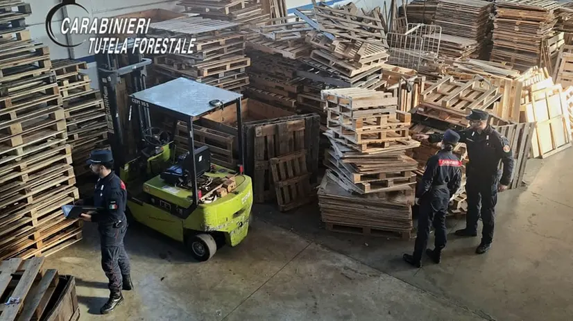 L'operazione dei carabinieri forestali - © www.giornaledibrescia.it