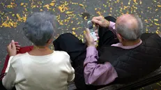 Anziani nel mirino - © www.giornaledibrescia.it