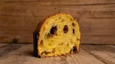 Il panettone della Gelateria Mille (Verolanuova)