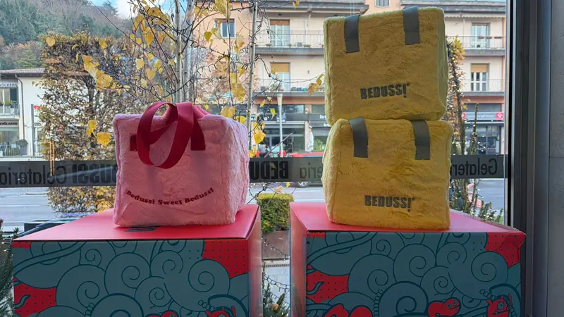 Il packaging del panettone di Bedussi