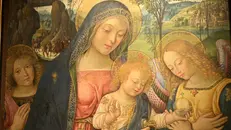 Al Museo Diocesano un'opera di Pinturicchio