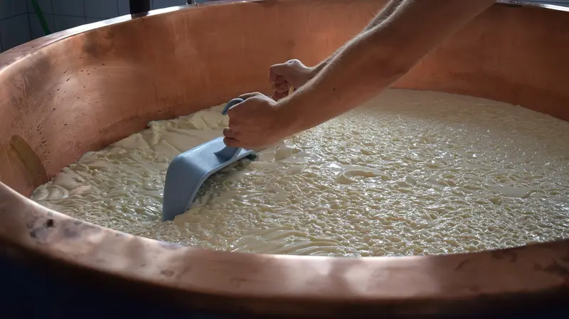 Produzione di formaggio