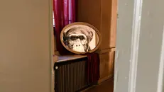 Abel Herrero al Mo.Ca - © www.giornaledibrescia.it