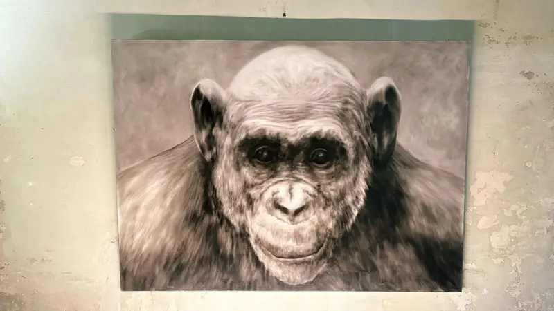 Un'opera di Herrero - © www.giornaledibrescia.it