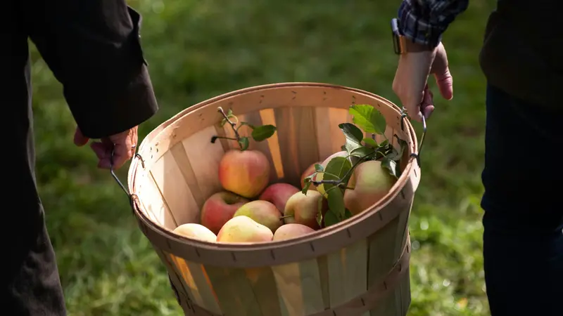 La mela racchiude diversi significati
