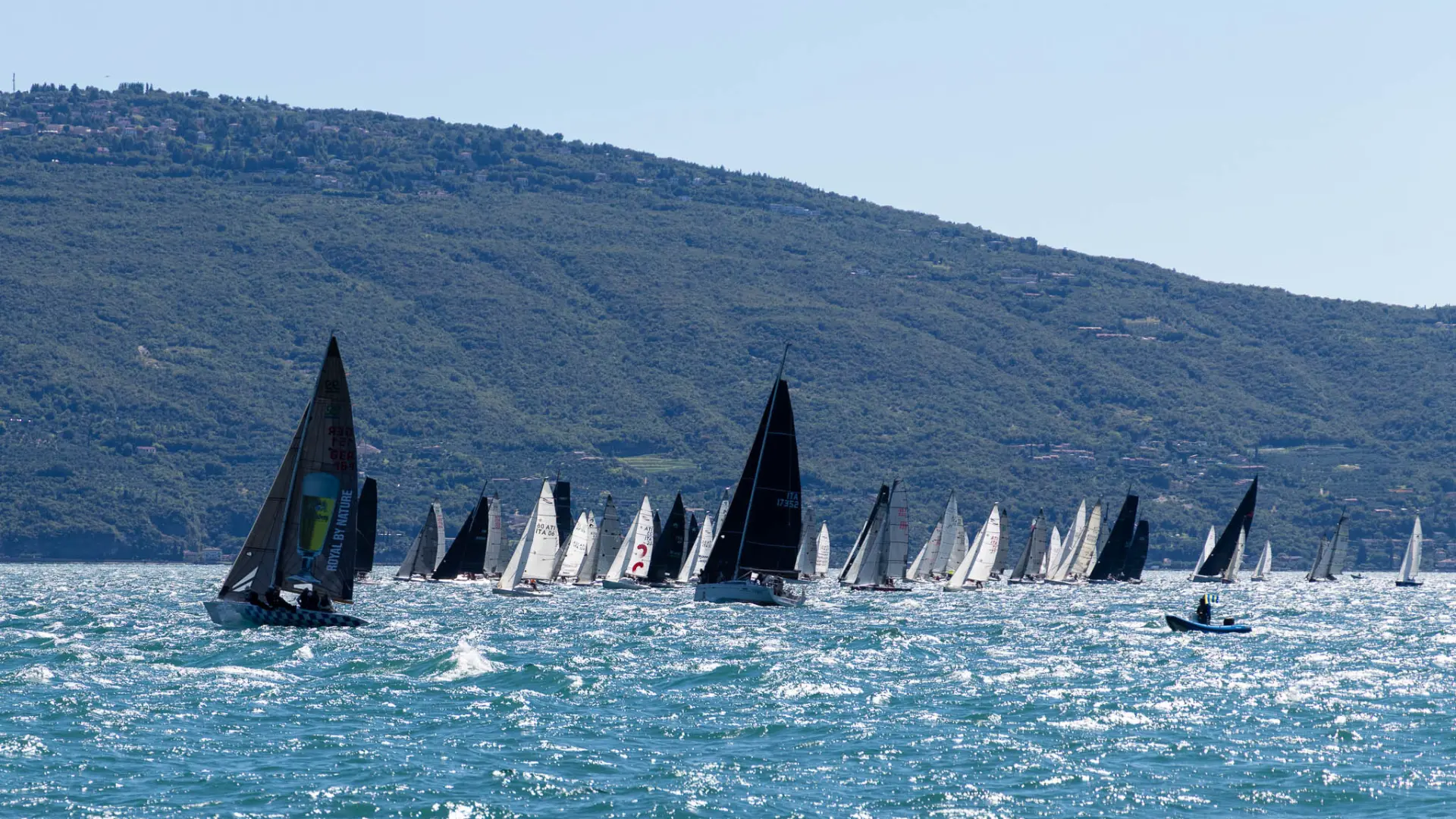 Eventi di Piazza & Eventi Istituzionali