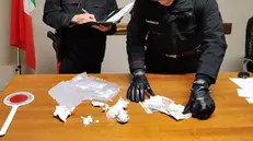 Droga e contanti sequestrati dai carabinieri