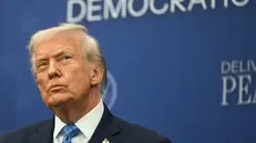 Donald Trump, presidente degli Stati Uniti - Foto Afp/Andrew Caballero-Reynolds © www.giornaledibrescia.it