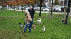 L'area cani al parco Venturini - © www.giornaledibrescia.it