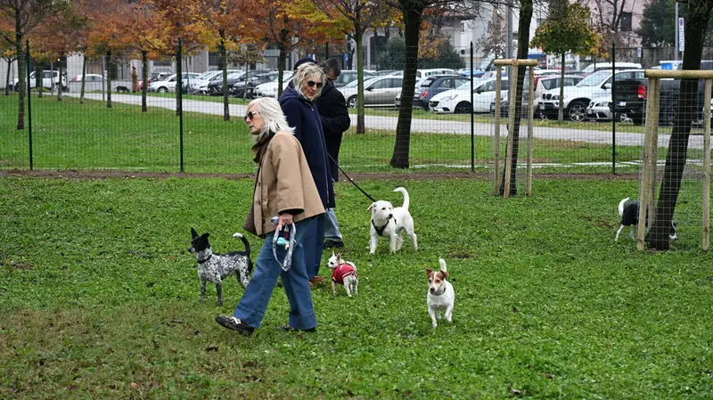 L'area cani al parco Venturini - © www.giornaledibrescia.it