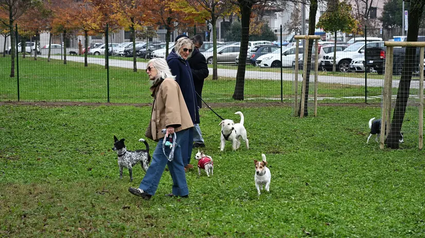 L'area cani al parco Venturini - © www.giornaledibrescia.it