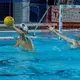 Per la Brescia Waterpolo una vittoria alla prima giornata che fa morale - Foto Gabriele Vanoni
