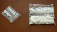 Dosi di cocaina (foto d'archivio) - © www.giornaledibrescia.it