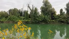 Uno scorcio del Serio prima che le acque si immettano nell’Adda