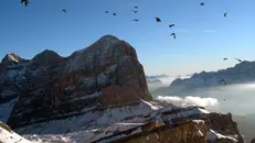 Ecosistema da salvare - Foto Bonometti