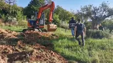 Un tesoretto in giardino: il punto in cui erano stati nascosti 15 milioni di euro © www.giornaledibrescia.it