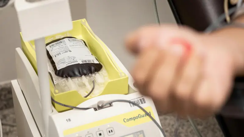 Una sacca di sangue donato