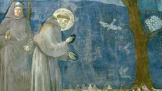 San Francesco e la «Predica agli uccelli», affresco nella Basilica superiore di Assisi