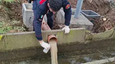 I Carabinieri forestali analizzano lo scarico