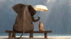 La gentilezza è una virtù in controtendenza