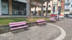 La panchina viola serve a sensibilizzare sul tema della gentilezza - © www.giornaledibrescia.it