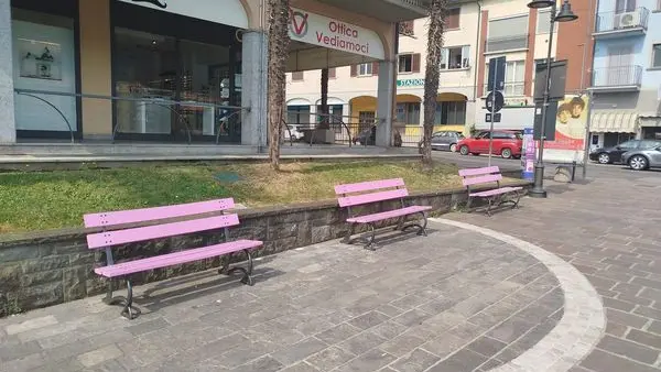 La panchina viola serve a sensibilizzare sul tema della gentilezza - © www.giornaledibrescia.it