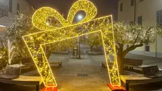 Un gradito ritorno a Lonato