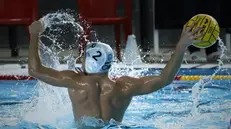 Nicola Buccella - Foto Instgram/bresciawaterpolo