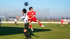 Uno scatto di Pralboino-Suzzara - Foto New Reporter Uberti © www.giornaledibrescia.it