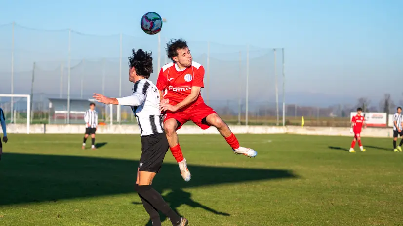 Uno scatto di Pralboino-Suzzara - Foto New Reporter Uberti © www.giornaledibrescia.it