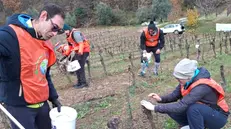 I volontari impegnati nella raccolta della plastica - © www.giornaledibrescia.it