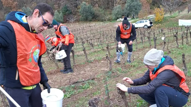 I volontari impegnati nella raccolta della plastica - © www.giornaledibrescia.it