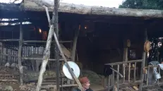 Il presepe vivente a Nuvolera